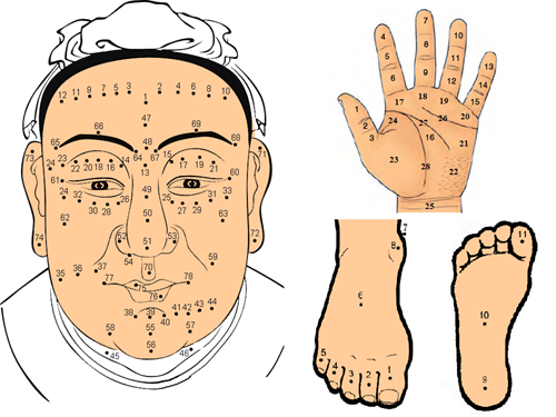 Xem bói nốt ruồi toàn thân: Giải mã ý nghĩa gần 250 nốt ruồi trên cơ thể nam nữ