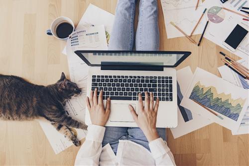 Tử vi hàng ngày 28/5/2020 về sự nghiệp của 12 con giáp: Ai có cơ hội bứt phá?