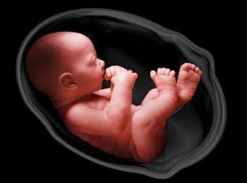 Khám phá mối liên hệ linh hồn và bào thai cho thấy 3 tháng đầu quan trọng đến nhường nào