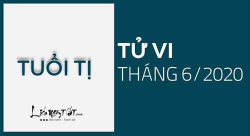 Tử vi tháng 6/2020 tuổi Tị âm lịch: Chinh phục đích đến đã đặt ra