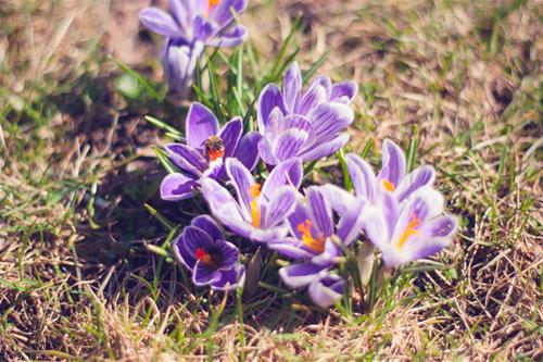 Tử vi thứ 2 ngày 15/6/2020 của 12 cung hoàng đạo: Song Tử gặp khó khăn, Cự Giải bất cẩn