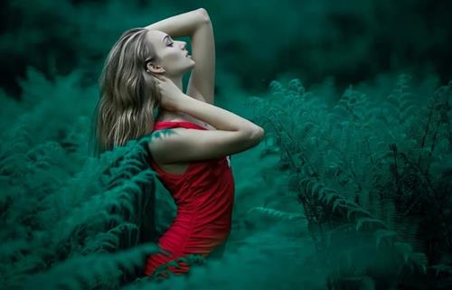 Cung Hổ Cáp hợp màu gì để hỗ trợ họ công thành, danh toại