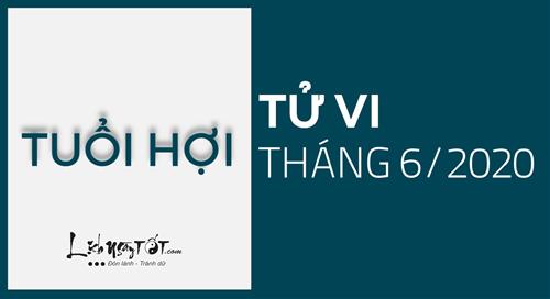 Tử vi tháng 6/2020 tuổi Hợi âm lịch: Cát tinh soi chiếu, nâng bước thành công