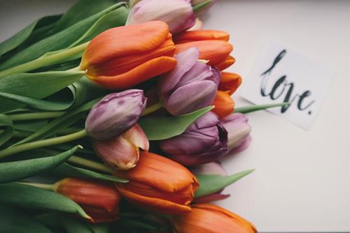 Từ giờ đến cuối tháng 7/2020 dương lịch, 4 con giáp sau có cơ hội gặp được người trong mộng