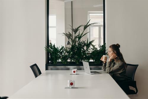Top 4 con giáp phân vân, đắn đo nhiều nhất về sự nghiệp cuối năm 2020