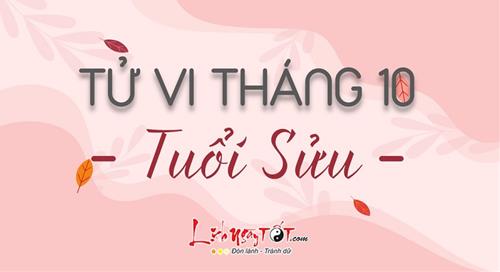 Tử vi tháng 10/2020 tuổi Sửu âm lịch: Tài tinh chiếu mệnh, sự nghiệp giậm chân tại chỗ