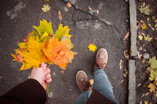 Tử vi thứ 7 ngày 12/9/2020 của 12 con giáp: Thìn bất an, Mùi thân thiện