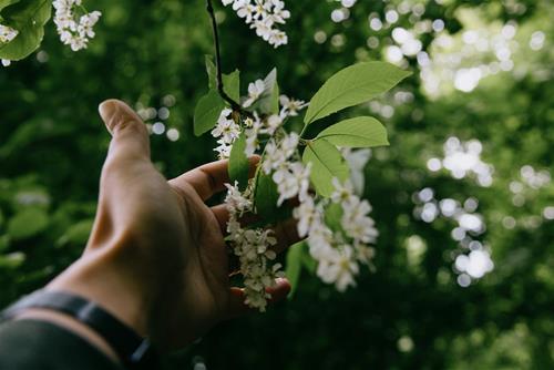 Tử vi thứ 5 ngày 28/1/2021 của 12 con giáp: Mão rắc rối, Ngọ sóng gió