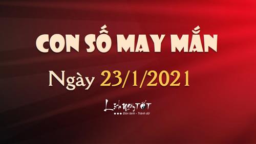 Con số may mắn ngày 23/1/2021 theo tuổi của bạn: Xem số đẹp hôm nay cho bạn