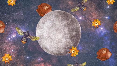 Sao Mộc đi thuận chiều trùng với sao Thủy, vận may của 12 chòm sao thăng cấp ở lĩnh vực nào?