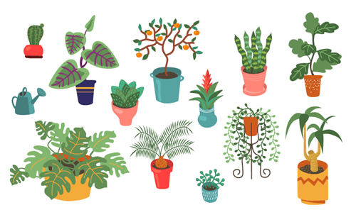 Loại cây cảnh để bàn cho 12 con giáp bứt phá ngoạn mục ở nơi làm việc, đố ai dám vượt mặt