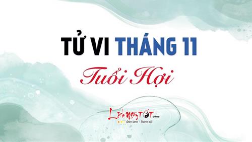 Tử vi tháng 11/2021 tuổi Hợi âm lịch: Lơ là công việc, khó đạt thành công