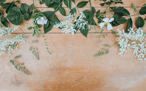 Tử vi thứ 4 ngày 11/10/2023 của 12 con giáp: Tý vất vả, Thìn kiêu ngạo