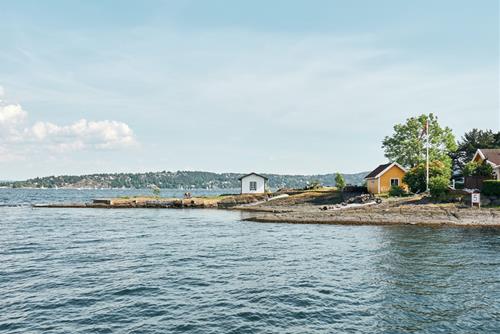 Tử vi thứ 7 ngày 16/10/2021 của 12 con giáp: Mão gặp trở ngại, Ngọ nên tập trung