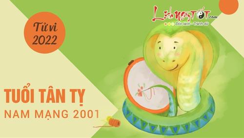Tử vi tuổi Tân Tỵ năm 2022 nam mạng 2001: Tiền bạc vào ra thất thường