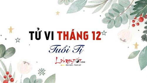 Tử vi tháng 12/2021 tuổi Tị âm lịch: Khai thông được bế tắc, quý nhân luôn đồng hành