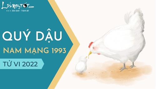 Tử vi tuổi Quý Dậu năm 2022 nam mạng 1993: Tài chính vững vàng