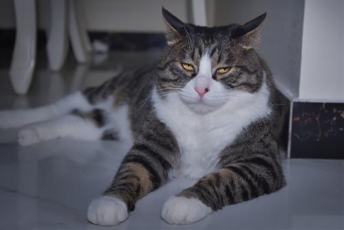 Cung hoàng đạo bị ghét nhất năm 2022, lý do bị ghét gây bất ngờ