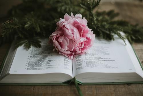 Tử vi thứ 2 ngày 27/12/2021 của 12 cung hoàng đạo: Xử Nữ cọc cằn, Kim Ngưu nhanh nhạy