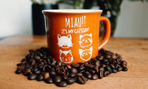 Tử vi Chủ nhật ngày 7/3/2021 của 12 con giáp: Mão bị chỉ trích, Tị không vui