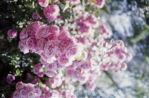 Tử vi thứ 2 ngày 22/3/2021 của 12 cung hoàng đạo: Nhân Mã sai sót, Song Ngư vội vàng