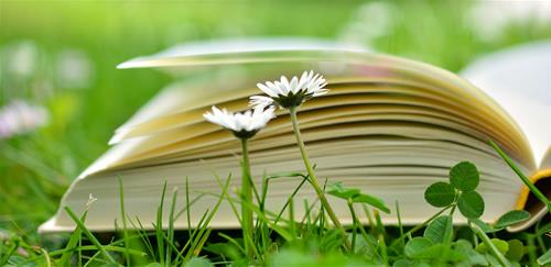 Tử vi thứ 6 ngày 19/3/2021 của 12 cung hoàng đạo: Bảo Bình vui vẻ, Song Tử nhạy cảm
