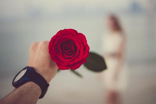 Tử vi hôm nay 23/3/2021 về tình yêu của 12 con giáp: Tình ai nồng thắm như cánh hồng?