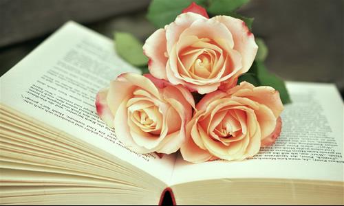 Tử vi thứ 3 ngày 6/4/2021 của 12 con giáp: Dần xung đột, Tị ôn hòa