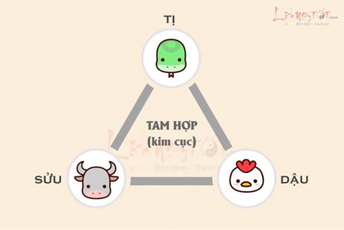 Tam hợp Tị Dậu Sửu - Bộ ba tri thức, khẳng định quyền uy