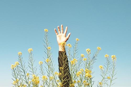 Tử vi thứ 7 ngày 3/4/2021 của 12 con giáp: Thìn suôn sẻ, Hợi gặp thị phi