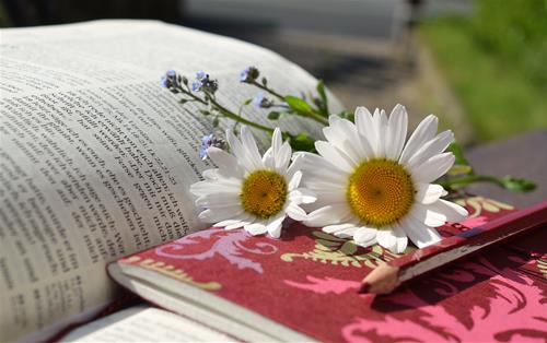 Tử vi thứ 6 ngày 30/4/2021 của 12 cung hoàng đạo: Bảo Bình bất an, Kim Ngưu cố chấp