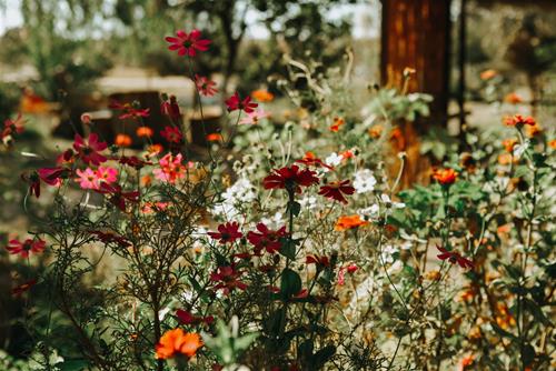 Tử vi thứ 5 ngày 15/4/2021 của 12 con giáp: Thìn khởi sắc, Hợi tranh cãi