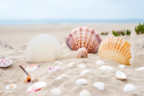 Tử vi thứ 7 ngày 22/5/2021 của 12 cung hoàng đạo: Sư Tử tỏa sáng, Bạch Dương chủ quan