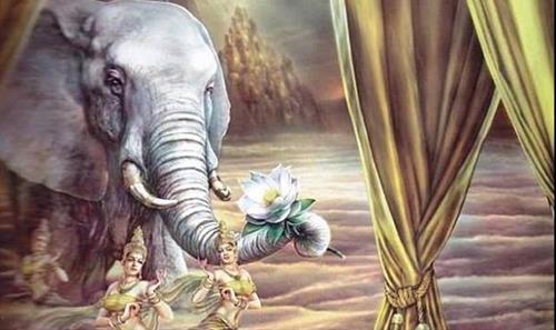 Vì sao Đức Phật hạ thế trong sắc tướng voi? Hé lộ duyên lành giữa voi và Ngài