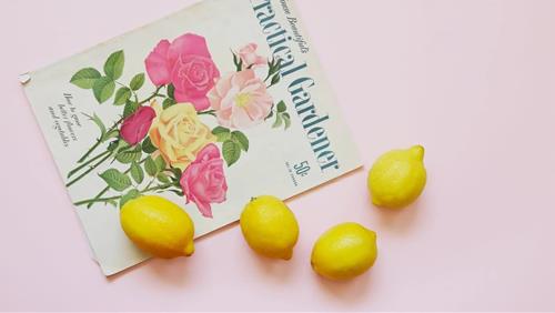 Tử vi Chủ nhật ngày 6/6/2021 của 12 con giáp: Ngọ vui vẻ, Dậu cả nghĩ