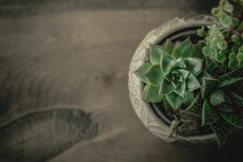 Tử vi tuần mới của 12 cung hoàng đạo (7-13/6/2021): Xử Nữ nguyên tắc, Kim Ngưu thả lỏng