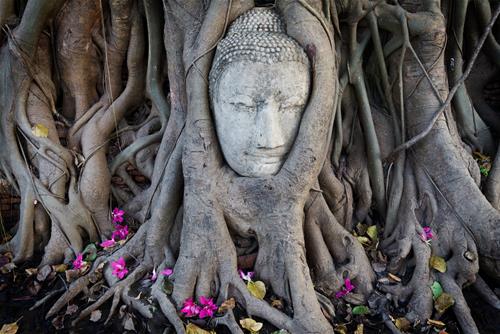 Phật dạy: 10 hành vi âm thầm tiêu hao âm đức mỗi ngày khiến phước lộc tiêu tán - Ai cũng phạm phải ít nhất 3 điều!