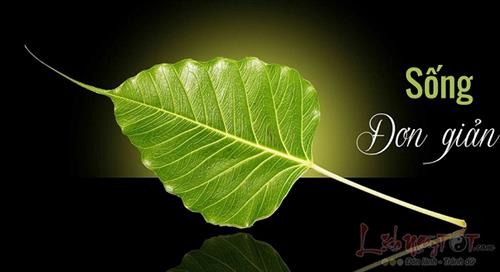 51 câu nói về cách sống đơn giản, mở toang cánh cửa an nhiên trong tâm hồn bạn