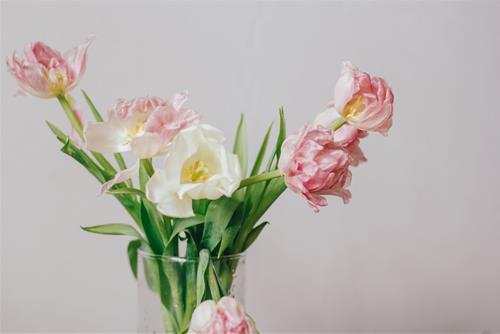 Tử vi tuần mới từ 26/7 - 1/8/2021 của 12 con giáp: Tị hay dịch chuyển, Tuất vui vẻ