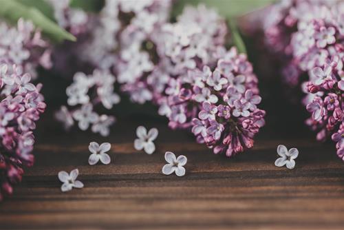 Tử Chủ nhật ngày 8/8/2021 của 12 con giáp: Dần gặp chuyện xui, Hợi có tiền