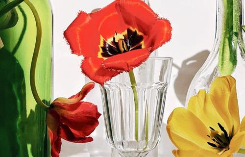 Tử vi thứ 3 ngày 24/8/2021 của 12 con giáp: Thân đào hoa, Tị được hỗ trợ