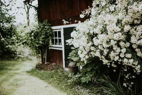 Tử vi tuần mới từ 9 - 15/8/2021 của 12 con giáp: Ngọ cần hành động, Dậu đào hoa