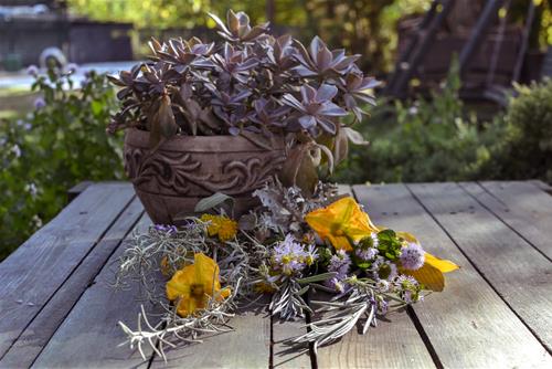 Tử vi tuần mới của 12 cung hoàng đạo (6-12/9/2021): Kim Ngưu gặp thị phi, Bảo Bình êm ả