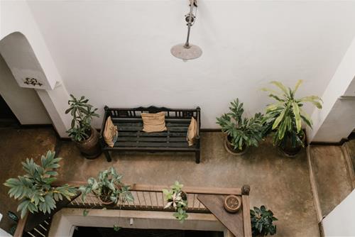Tử vi thứ 5 ngày 9/9/2021 của 12 con giáp: Mão vượng tài, Thân bị xáo trộn