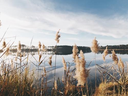 Tử vi Thứ 6 ngày 10/9/2021 của 12 con giáp: Tý cả tin, Thìn hoang mang