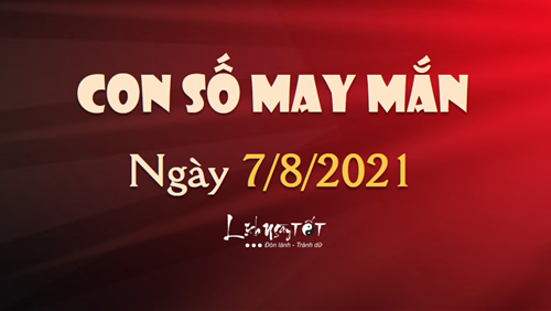 Con số may mắn hôm nay 7/8/2021 theo tuổi của bạn: Tìm số may mắn giúp bạn phát tài nhanh