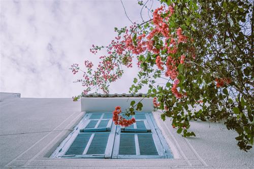 Tử vi thứ 7 ngày 11/9/2021 của 12 con giáp: Ngọ tiến bước, Tuất trắc trở