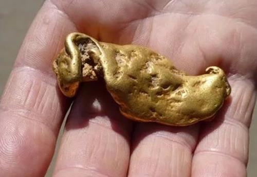 Nhặt được vàng là may hay rủi? Nên giữ lấy hay nên trả lại bây giờ?