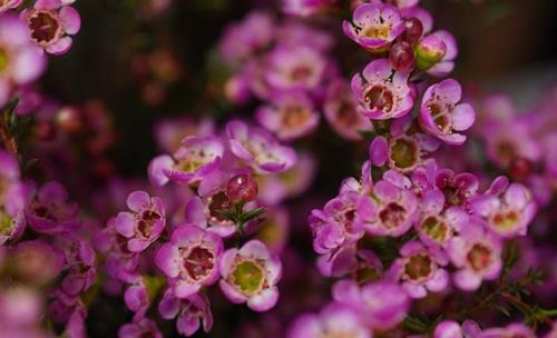 Tử vi Chủ nhật ngày 3/10/2021 của 12 con giáp: Sửu rủng rỉnh tiền, Tị vui tươi