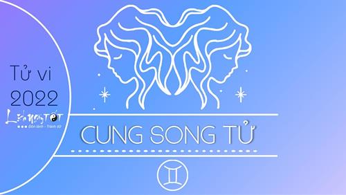 Tử vi cung Song Tử năm 2022: Tình duyên bất ngờ rực rỡ hơn cả mong đợi